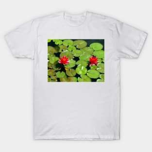 Floating pair of Red Water Lilly Flowers on Pond T-Shirt